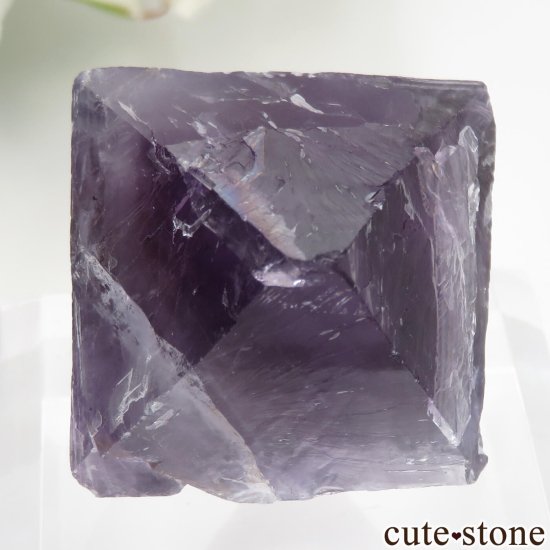 ꥫ Υ Cave-in-Rock ȬΡʤؤ뾽˥ե饤 No.22μ̿1 cute stone