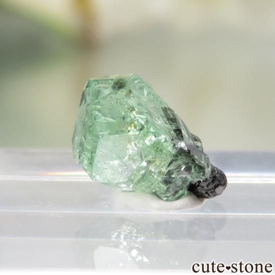 󥶥˥ ĥܥ饤ȡʥå顼ͥåȡˤθ No.28μ̿2 cute stone