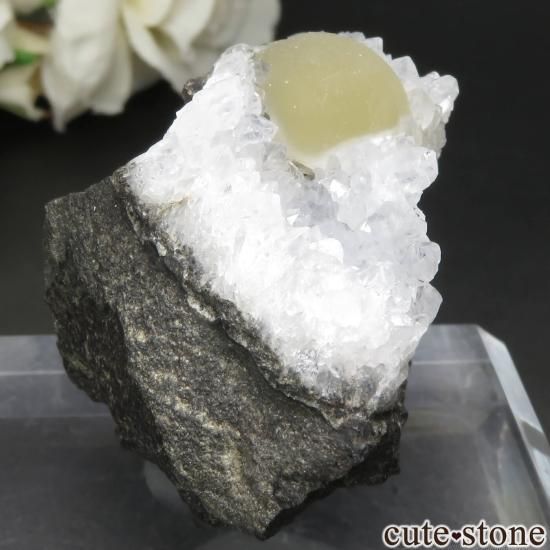 ɻ  ե饤ȡĤθ No.34μ̿0 cute stone