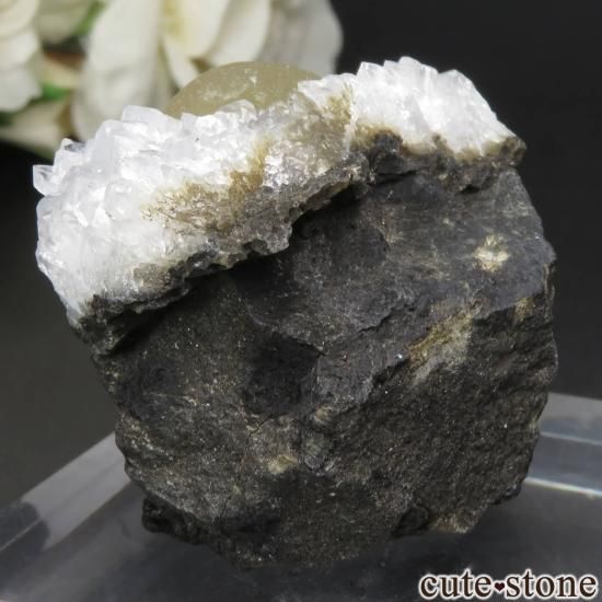 ɻ  ե饤ȡĤθ No.34μ̿1 cute stone