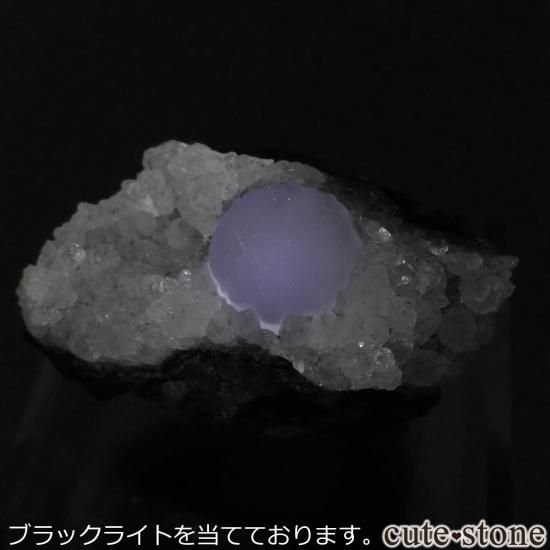 ɻ  ե饤ȡĤθ No.34μ̿3 cute stone