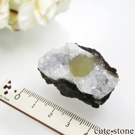 ɻ  ե饤ȡĤθ No.34μ̿4 cute stone