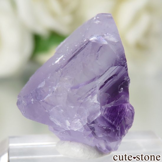 ٥륮 Seilles ѡץե饤Ȥθ No.1μ̿0 cute stone