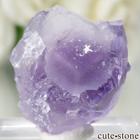 ٥륮 Seilles ѡץե饤Ȥθ No.1μ̿1 cute stone