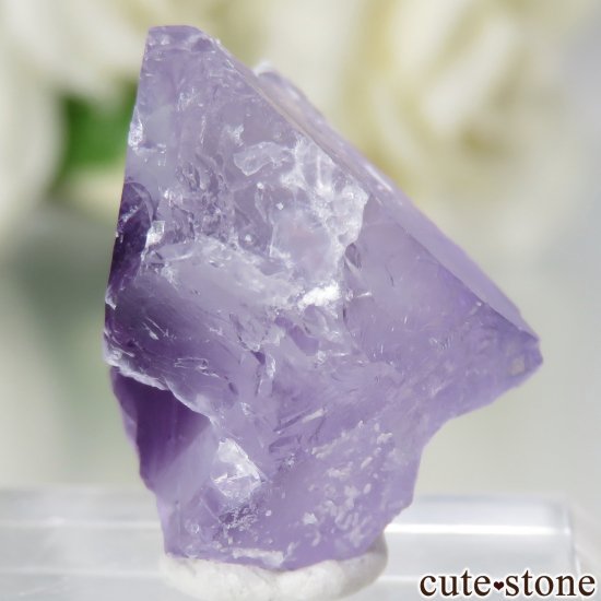 ٥륮 Seilles ѡץե饤Ȥθ No.1μ̿2 cute stone