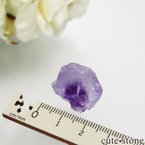 ٥륮 Seilles ѡץե饤Ȥθ No.1μ̿3 cute stone