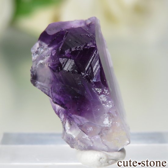 ٥륮 Seilles ѡץե饤Ȥθ No.2μ̿0 cute stone