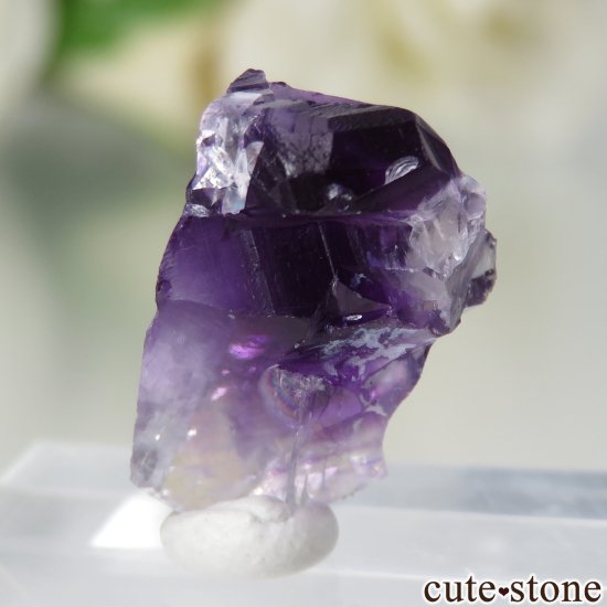 ٥륮 Seilles ѡץե饤Ȥθ No.2μ̿2 cute stone
