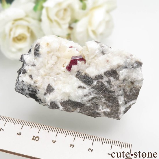  äʥ󥷥˥ʥСɥޥȤդ No.1μ̿7 cute stone