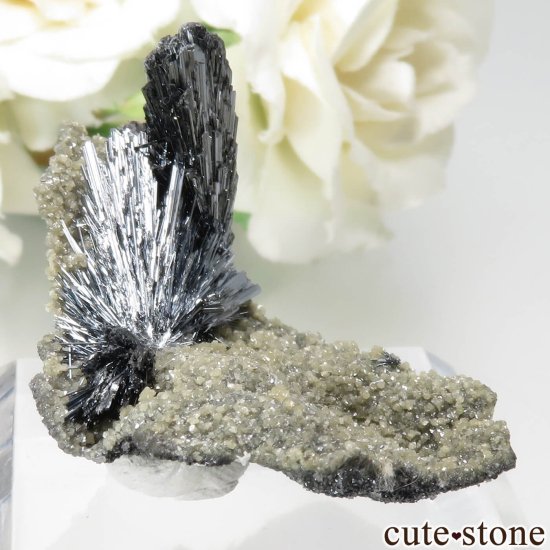 롼ޥ˥ Herja Mine ƥ֥ʥȤθ No.5μ̿0 cute stone