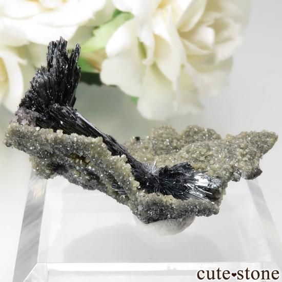 롼ޥ˥ Herja Mine ƥ֥ʥȤθ No.5μ̿1 cute stone