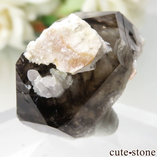 ȥꥢ Mooralla(顦) ⡼ No.36μ̿1 cute stone