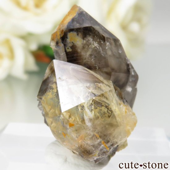 ȥꥢ Mooralla(顦) ⡼ No.37μ̿0 cute stone