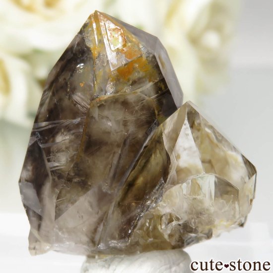 ȥꥢ Mooralla(顦) ⡼ No.37μ̿1 cute stone