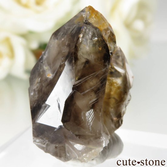 ȥꥢ Mooralla(顦) ⡼ No.37μ̿2 cute stone