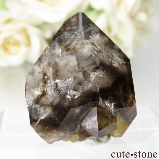 ȥꥢ Mooralla(顦) ⡼ No.39μ̿1 cute stone