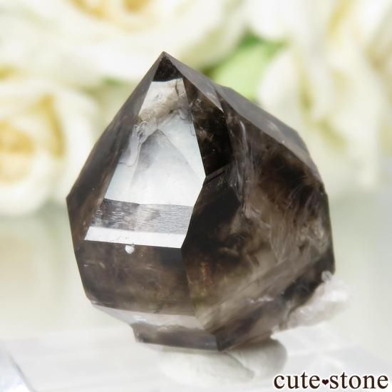 ȥꥢ Mooralla(顦) ⡼ No.41μ̿1 cute stone