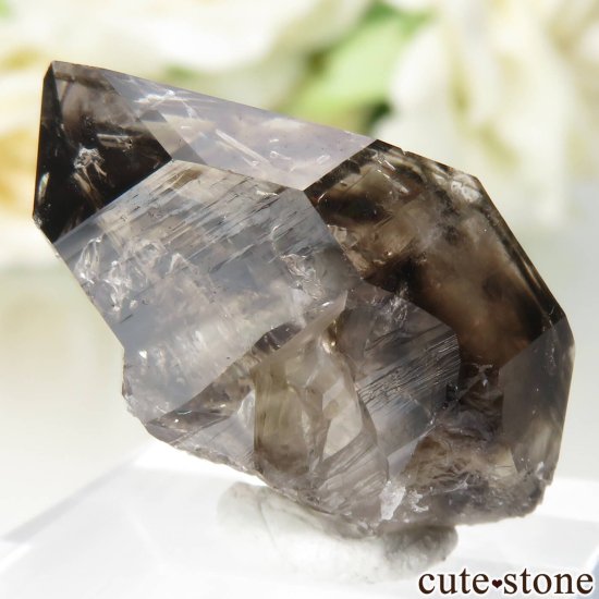 ȥꥢ Mooralla(顦) ⡼ No.42μ̿0 cute stone
