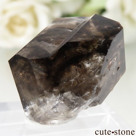 ȥꥢ Mooralla(顦) ⡼ No.43μ̿1 cute stone