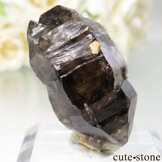 ȥꥢ Mooralla(顦) ⡼ No.44μ̿0 cute stone
