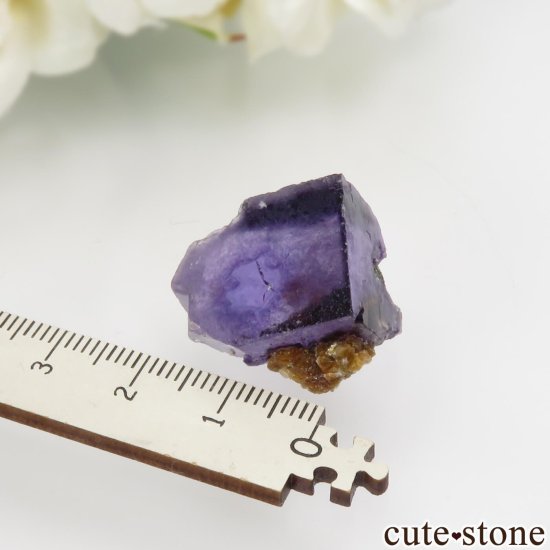 䥪󥷥 ѡץե饤ȡ⥹ХȤθ No.74μ̿3 cute stone