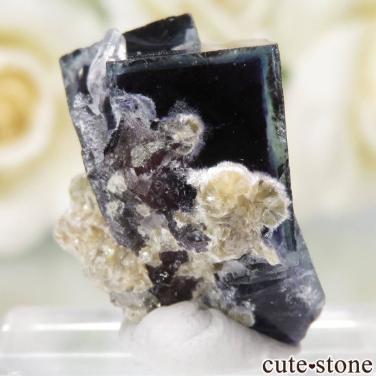 䥪󥷥 ѡץߥ֥롼ե饤ȡġ⥹ХȤθ No.75μ̿0 cute stone