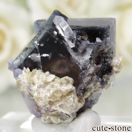 䥪󥷥 ѡץߥ֥롼ե饤ȡġ⥹ХȤθ No.75μ̿1 cute stone