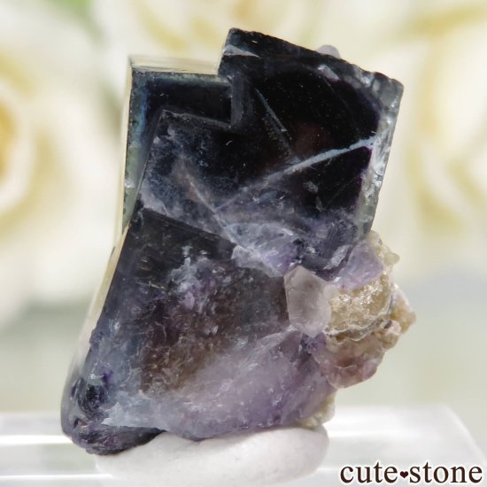 䥪󥷥 ѡץߥ֥롼ե饤ȡġ⥹ХȤθ No.75μ̿2 cute stone
