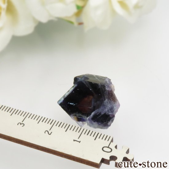 䥪󥷥 ѡץߥ֥롼ե饤ȡġ⥹ХȤθ No.75μ̿3 cute stone