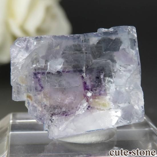 䥪󥷥 ֥롼ߥѡץե饤Ȥθ No.76