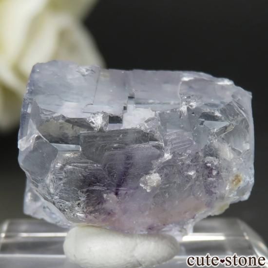 䥪󥷥 ֥롼ߥѡץե饤Ȥθ No.76μ̿1 cute stone