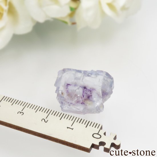 䥪󥷥 ֥롼ߥѡץե饤Ȥθ No.76μ̿3 cute stone