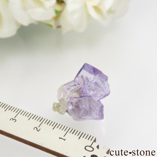 䥪󥷥 ѡץե饤ȡġ⥹ХȤθ No.77μ̿3 cute stone