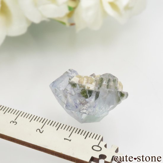 䥪󥷥 ֥롼ե饤ȡ⥹ХȤθ No.78μ̿3 cute stone
