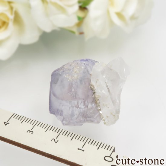 䥪󥷥 ֥롼ե饤ȡġ⥹ХȤθ No.79μ̿3 cute stone