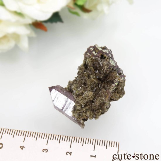 ʥߥӥ ֥ɥСꥢ Goboboseb ᥸Ȥդ No.3μ̿4 cute stone