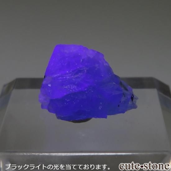 󥰥 Rogerley Mineۻ ָ ե饤Ȥθ No.18μ̿1 cute stone