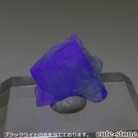 󥰥 Rogerley Mineۻ ָ ե饤Ȥθ No.20μ̿1 cute stone