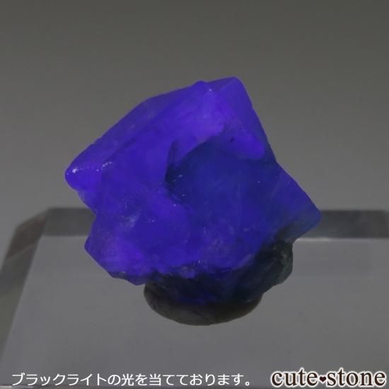 󥰥 Rogerley Mineۻ ָ ե饤Ȥθ No.21μ̿1 cute stone