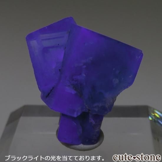 ꡼ۻե饤ȥ֥å饤Ⱦȼ͸