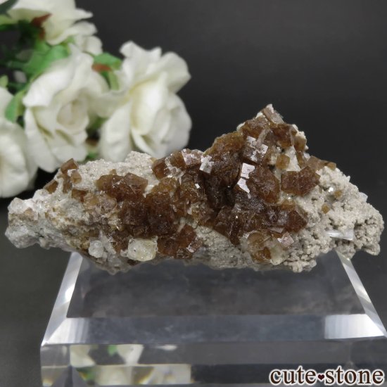 アメリカ オハイオ州産 フローライト＆セレスタイトの母岩付き原石 No.10の画像 cute stone