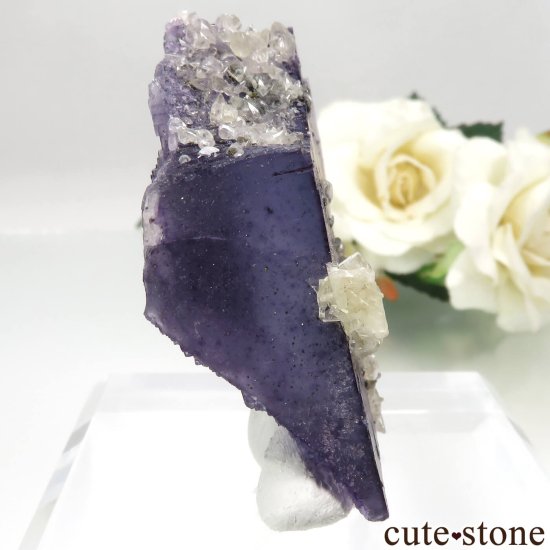 イリノイ州 Cave-in-Rock産 パープル×ブルーフローライト＆カルサイト＆バライトの原石 No.17の写真0 cute stone