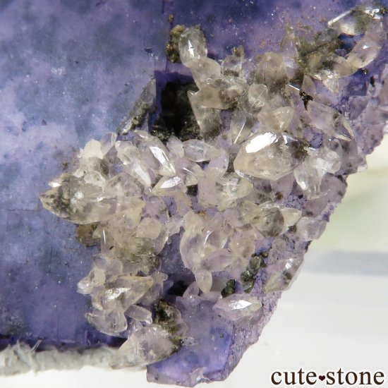 イリノイ州 Cave-in-Rock産 パープル×ブルーフローライト＆カルサイト＆バライトの原石 No.17の写真3 cute stone