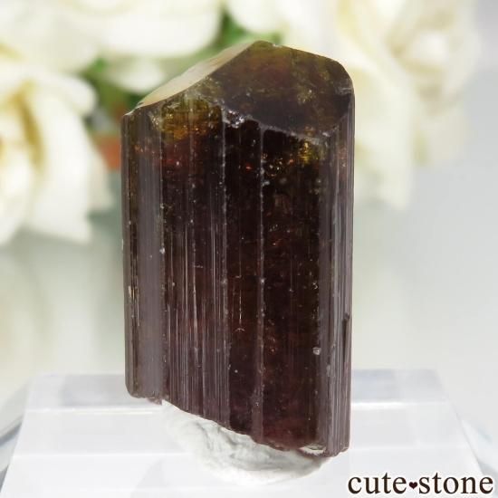 ޥ뻺 ȥޥθ No.4μ̿0 cute stone