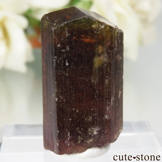 マダガスカル産 ウォーターメロントルマリンの原石 No.4の写真2 cute stone