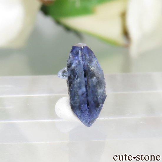 ե˥ California State Gem Mine ٥˥ȥȤθ No.133μ̿0 cute stone