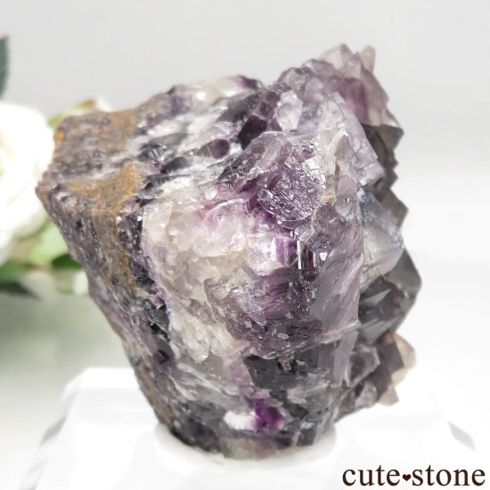 ʥߥӥ Okorusu Mine ե饤Ȥθ No.18μ̿0 cute stone