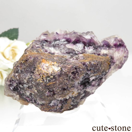 ʥߥӥ Okorusu Mine ե饤Ȥθ No.18μ̿1 cute stone