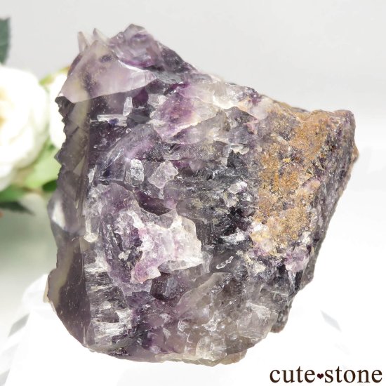 ʥߥӥ Okorusu Mine ե饤Ȥθ No.18μ̿2 cute stone