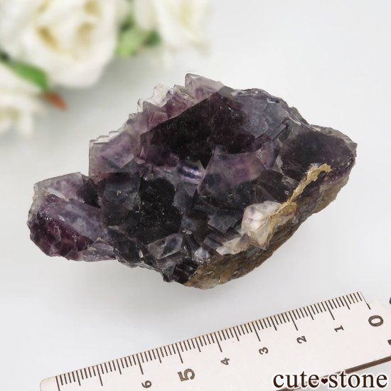 ʥߥӥ Okorusu Mine ե饤Ȥθ No.18μ̿4 cute stone